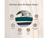 Drap-housse Coton Vison Bonnet 25 - 80x200 cm
