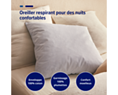 Oreiller Plumes Rayées - 60x60 cm