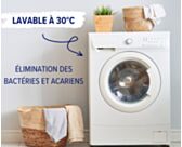 Protège matelas coton
Protège matelas silencieux 
Protège matelas 