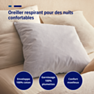 Oreiller Plumes Rayées - 60x60 cm