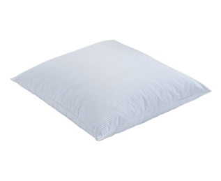 Oreiller Plumes Rayées - 60x60 cm