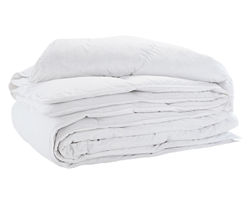 Couette d'hiver très chaude 220x240 Couette en duvet 95% Couette en duvet  d'oie blanche Chaud Simple Double Quilt Couverture Core Edredones