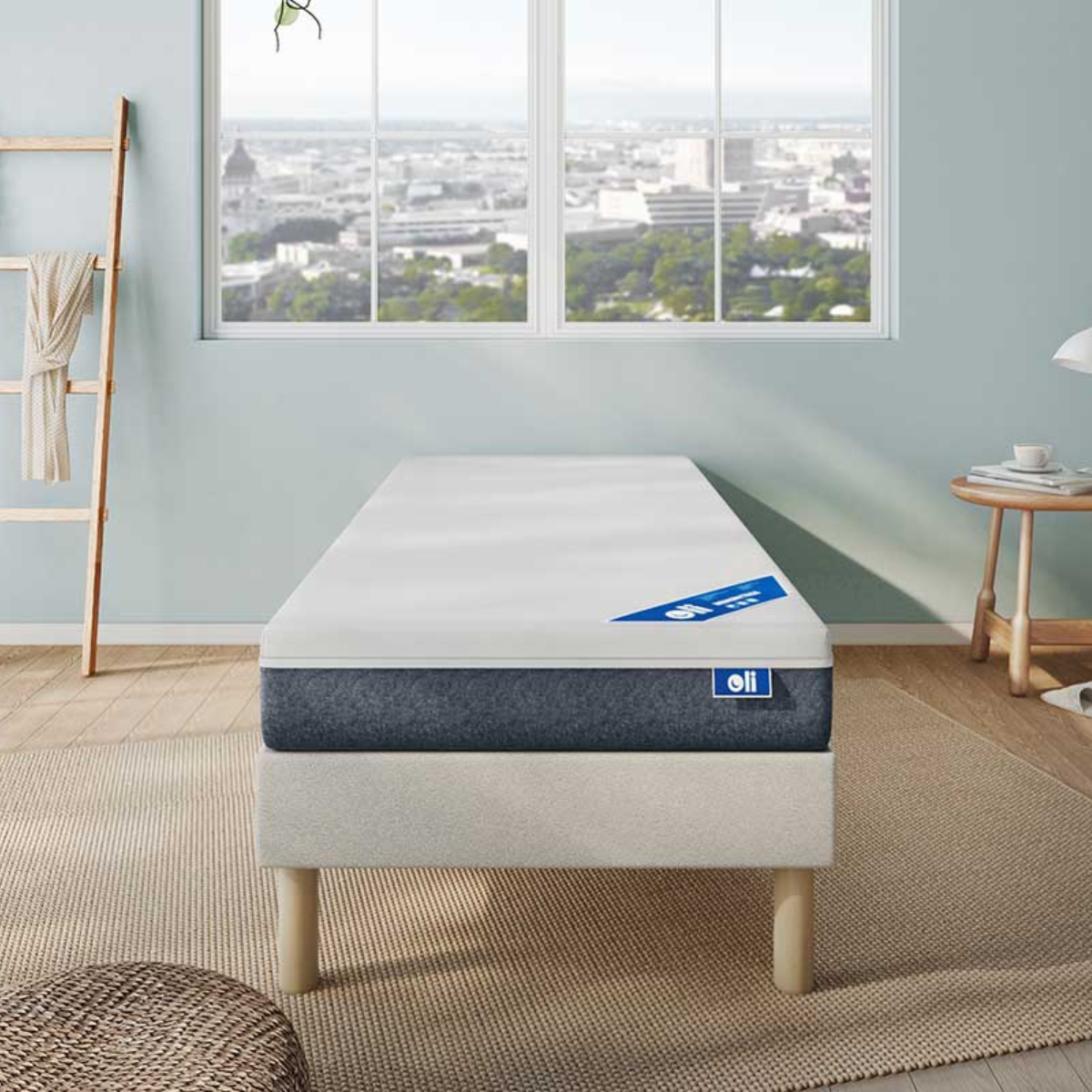 Le Roi du Matelas - Matelas Memorytech - 80x200 cm
