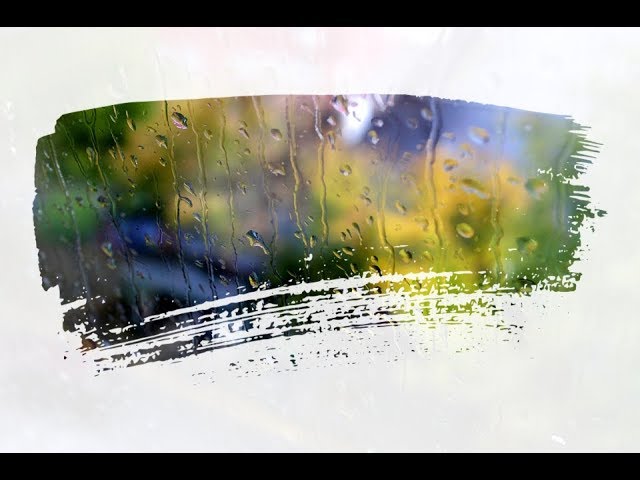 Bruit De La Pluie & Vent Dans Les Arbres